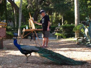 Peacock looking to be painted