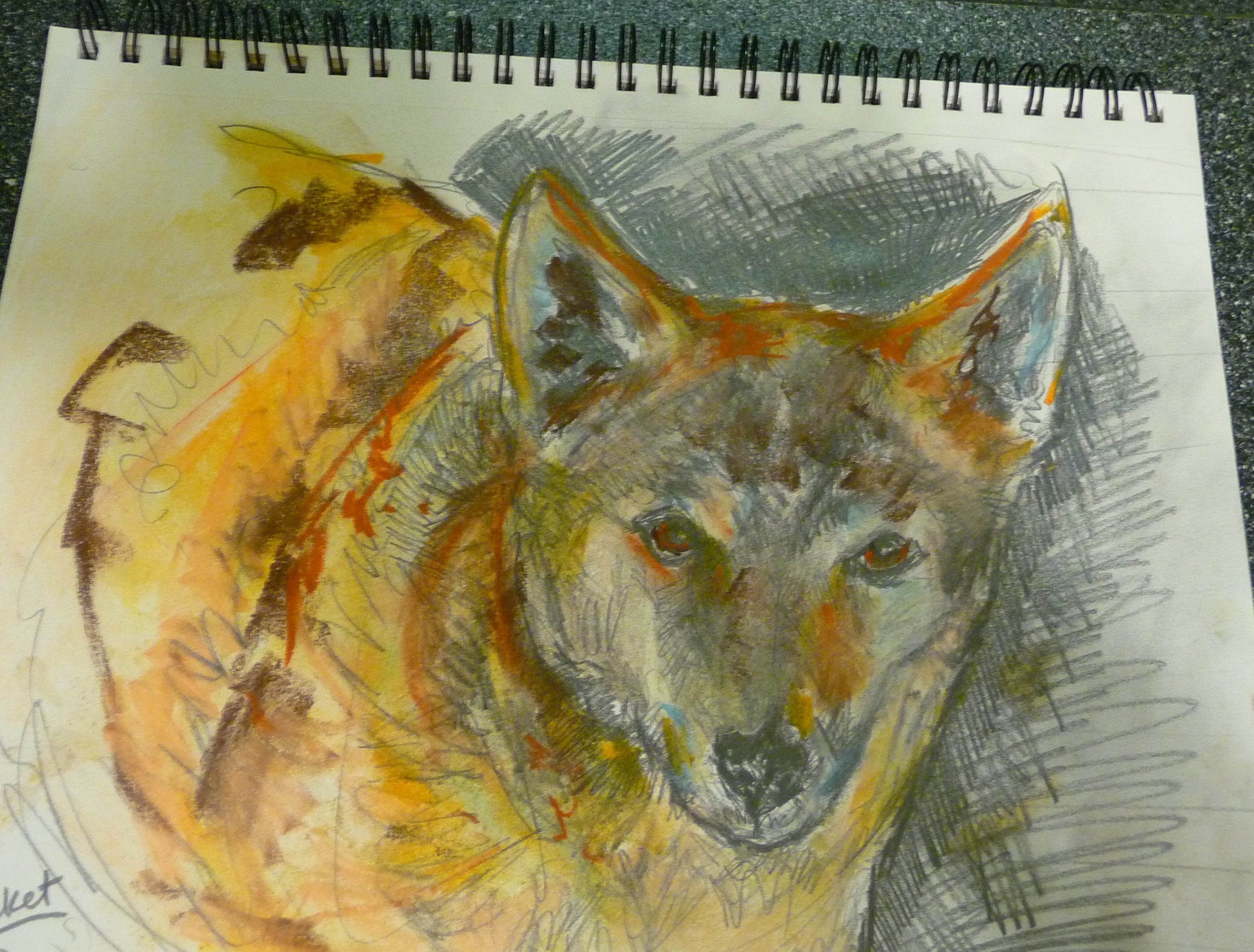 Portrait of Rocket by Jean