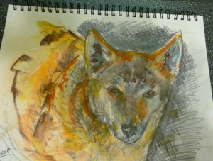 Portrait of Rocket by Jean