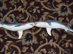 Sharks in love