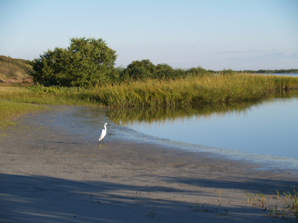 Anastasia State Park