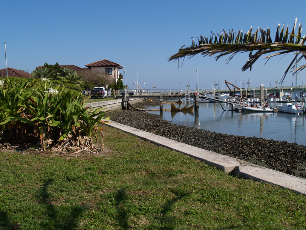 St. Augustine City Marina