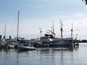 View of the marina
