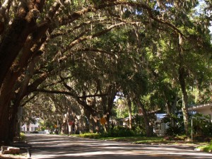 Our view of Magnolia Avenue