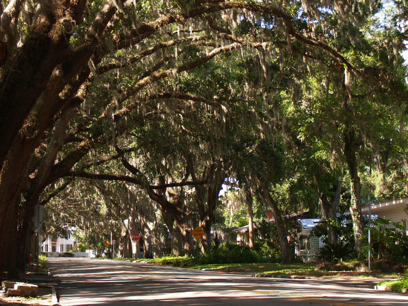 Our view of Magnolia Avenue