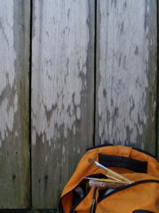 Weathered fence and brushes