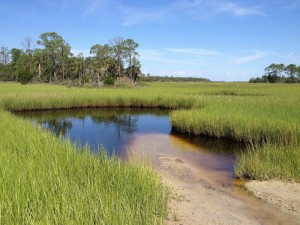 Shallow waters