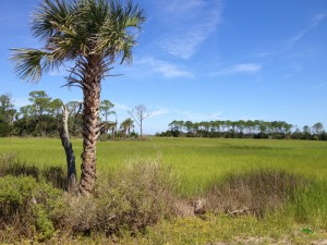 View from Island Landing Drive