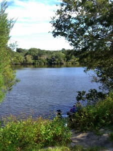 Lake Anhinga