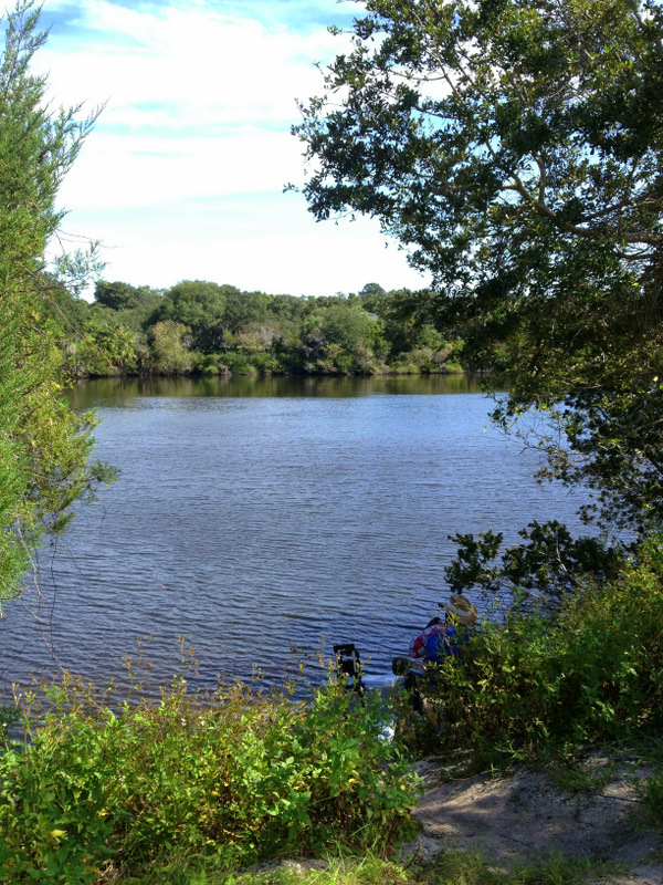 Lake Anhinga